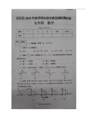 四川达州宣汉九年级上学期期末教学质量调研数学
