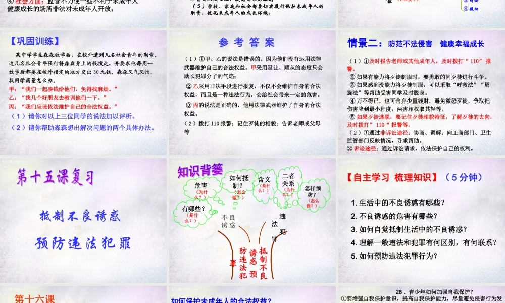 中学七年级政治下册 第七单元 学会依法保护自己复习课件 鲁教版 课件