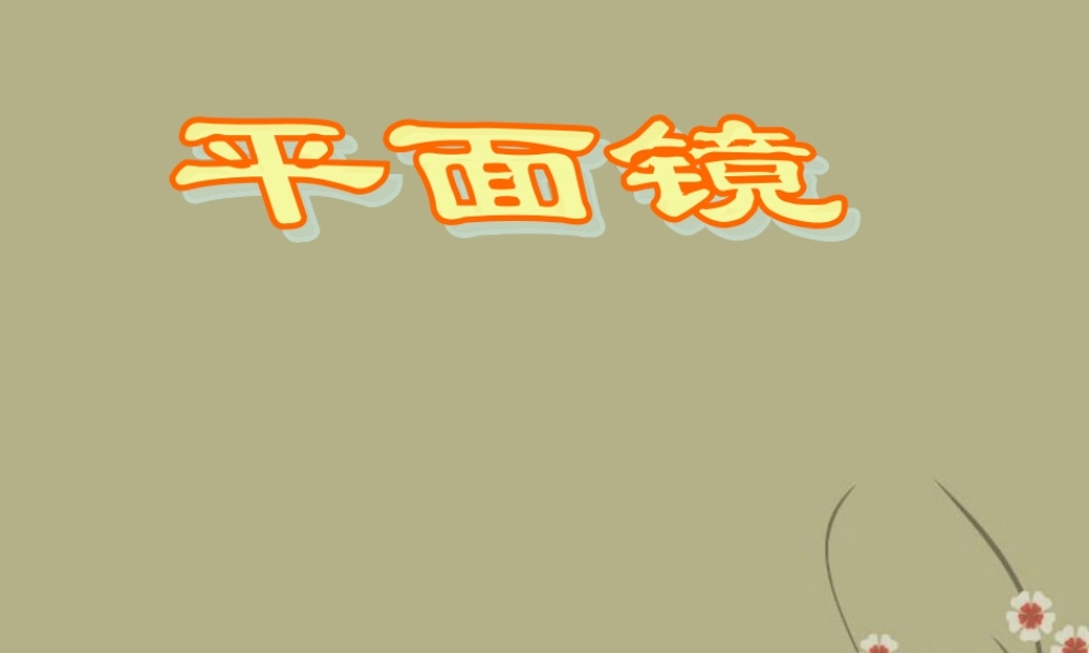 九年级物理会考复习(力平面镜)课件 新人教版 试题