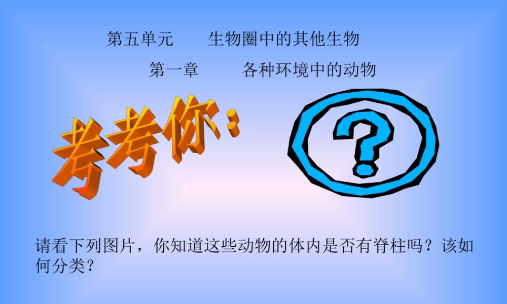 九年级生物上册 水中生活的动物ppt 课件