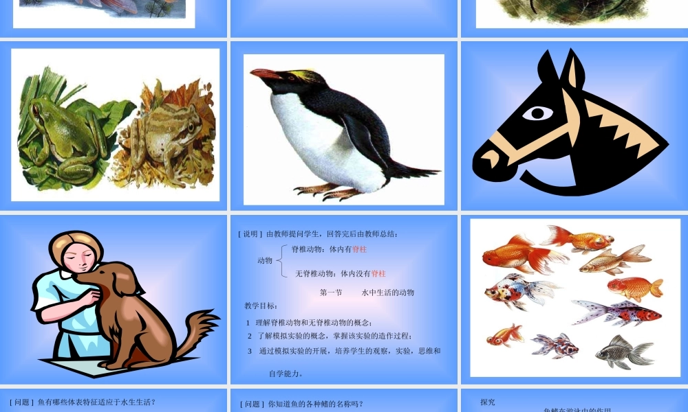 九年级生物上册 水中生活的动物ppt 课件