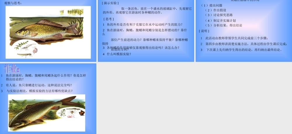九年级生物上册 水中生活的动物ppt 课件