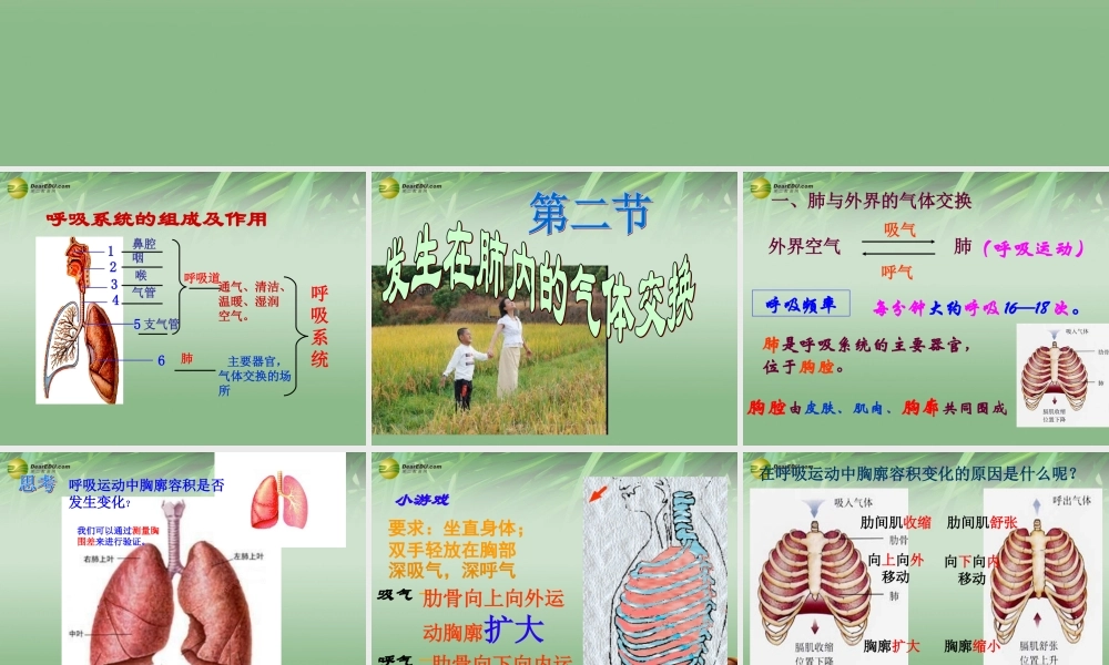 七年级生物下册 发生在肺内的气体交换课件 新人教版 课件