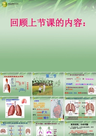 七年级生物下册 发生在肺内的气体交换课件 新人教版 课件