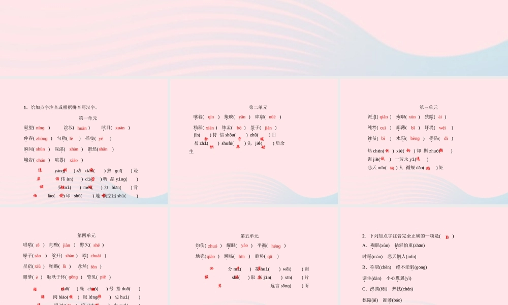 八年级语文上册 专题一 语音与汉字习题课件 (新版)语文版 课件
