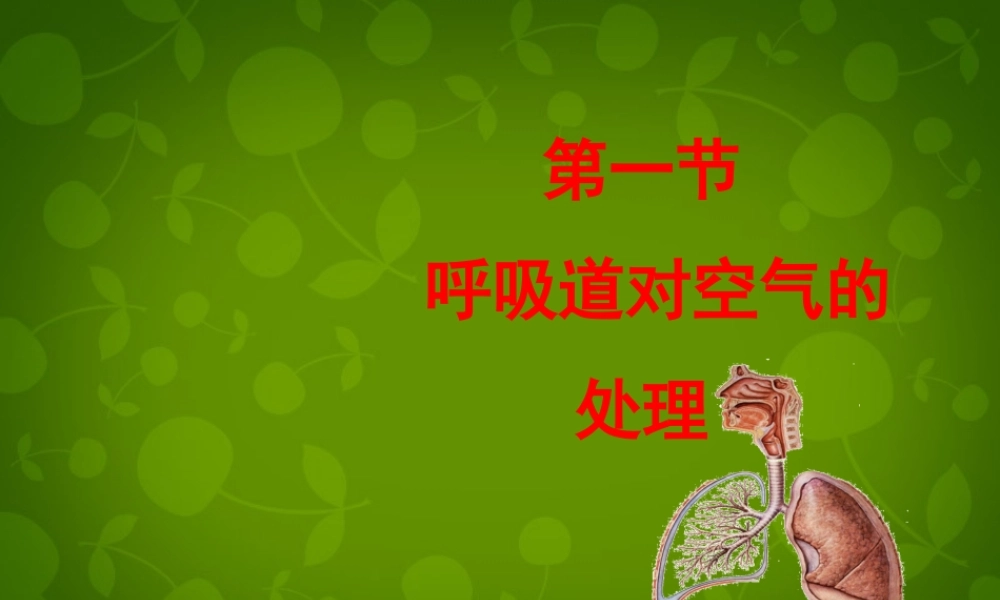 七年级生物下册 第四单元 第三章 第1节 呼吸道对空气的处理课件1 新人教版 课件