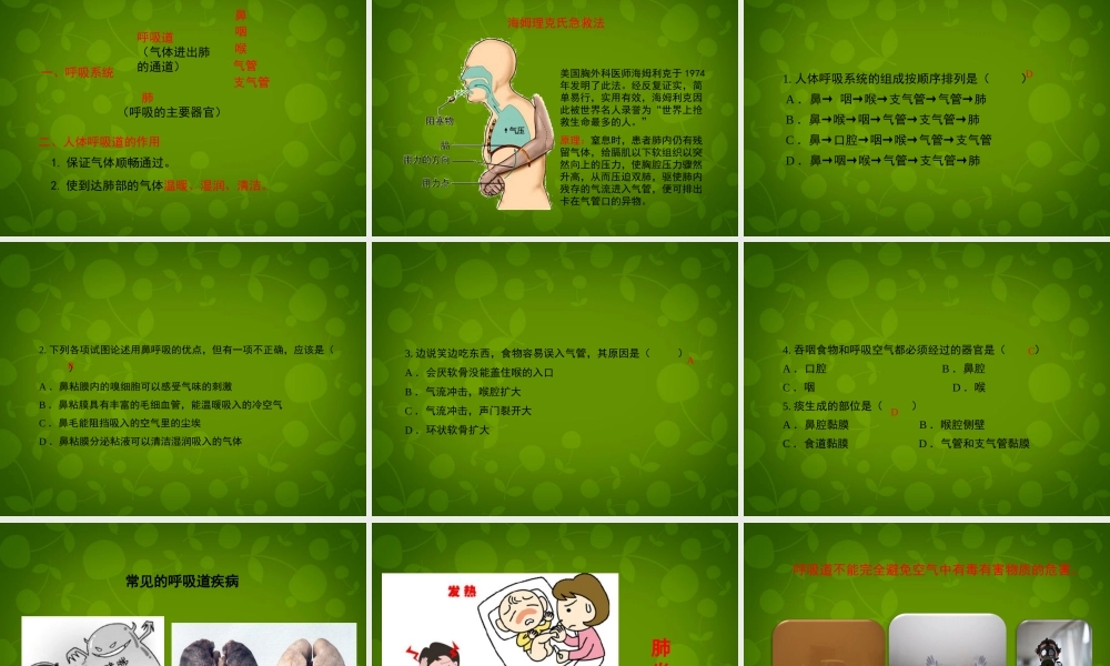 七年级生物下册 第四单元 第三章 第1节 呼吸道对空气的处理课件1 新人教版 课件