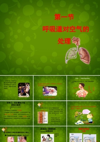 七年级生物下册 第四单元 第三章 第1节 呼吸道对空气的处理课件1 新人教版 课件