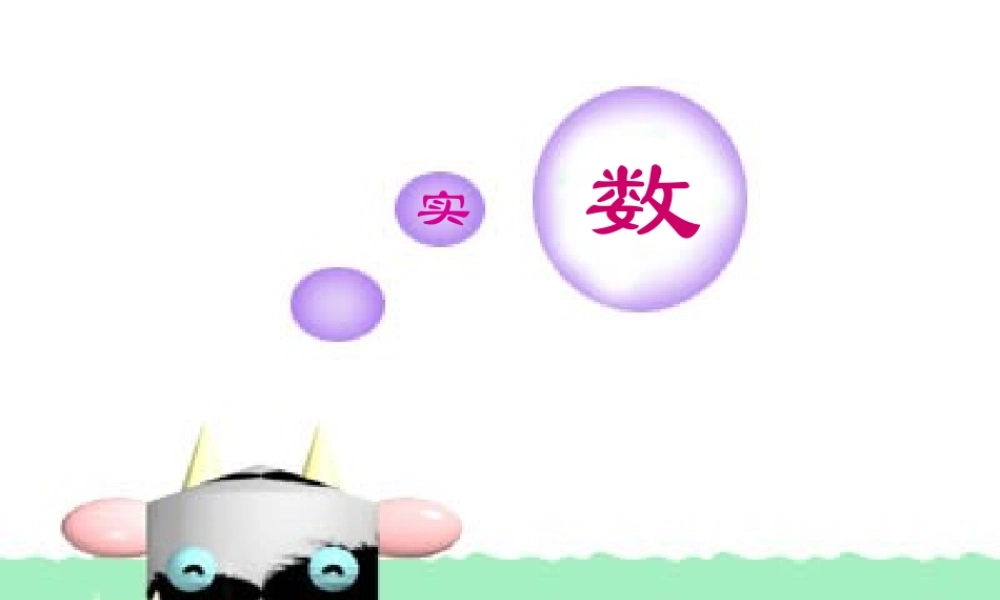 八年级数学上册 13-3(实数)课件 人教新课标 课件