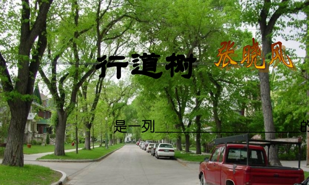 七年级语文上册 7.(行道树)课件 新人教版 课件