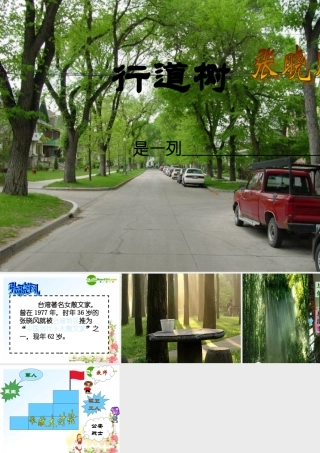 七年级语文上册 7.(行道树)课件 新人教版 课件