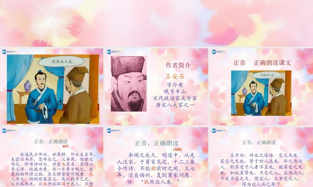 七年级语文下册 5(伤仲永)课件 新人教版 课件