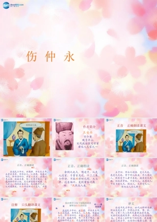 七年级语文下册 5(伤仲永)课件 新人教版 课件