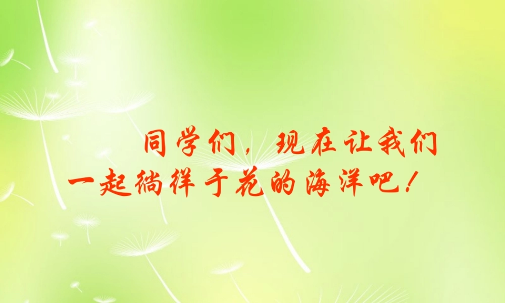 八年级语文上册 第六单元 29 送你一束转基因花课件 (新版)苏教版 课件