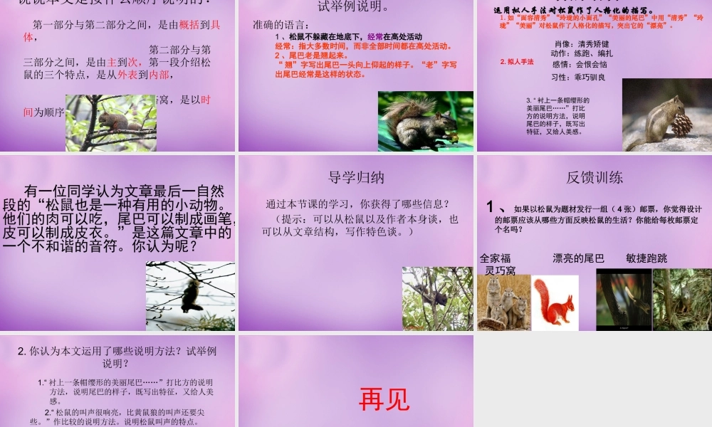 中学七年级语文下册(15 松鼠)课件 (新版)苏教版 课件