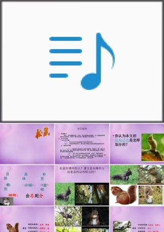 中学七年级语文下册(15 松鼠)课件 (新版)苏教版 课件