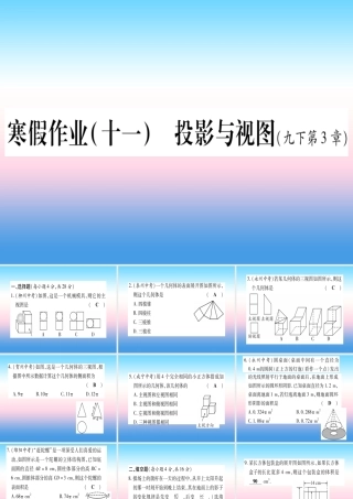 九年级数学下册 寒假作业(十一)投影与视图作业课件 (新版)湘教版 课件