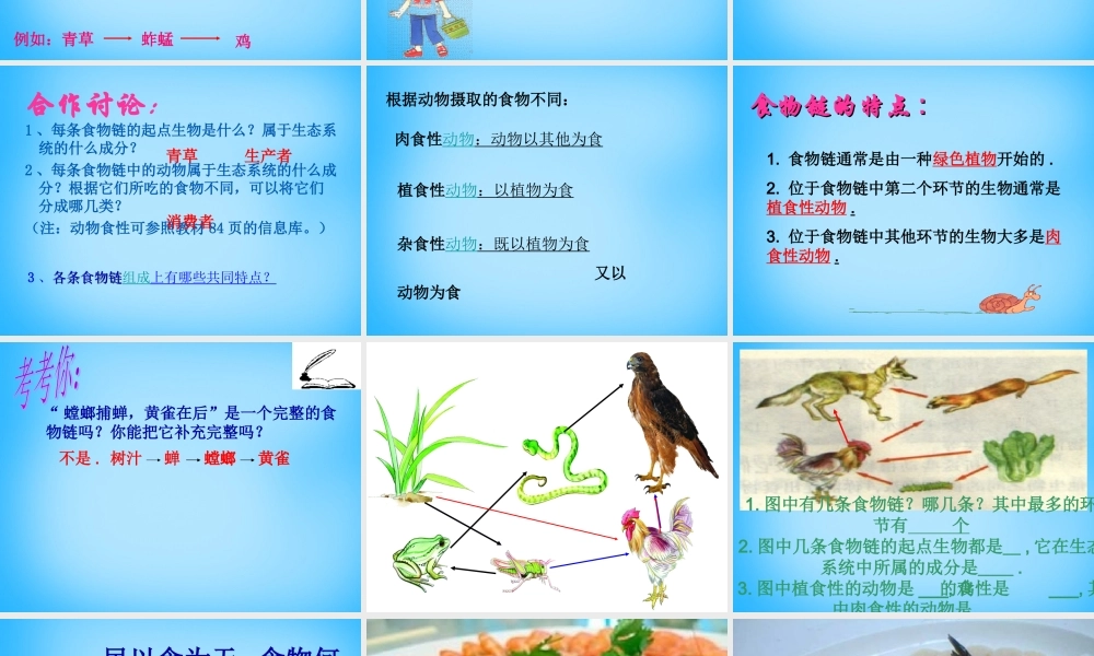 中学七年级生物上册 3.6.1(食物链)课件 (新版)苏科版 课件