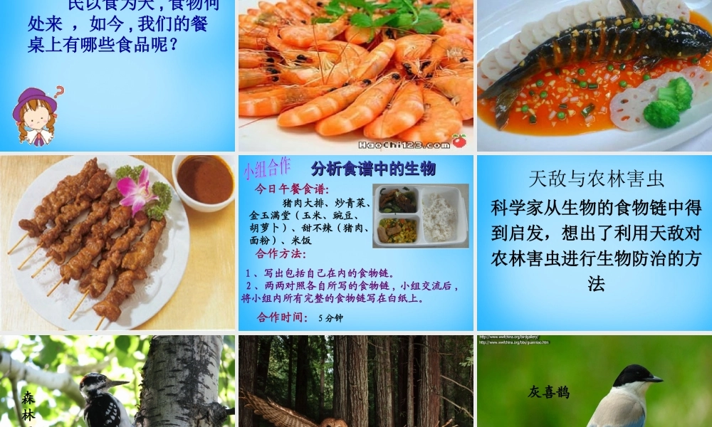 中学七年级生物上册 3.6.1(食物链)课件 (新版)苏科版 课件