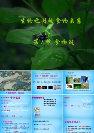 中学七年级生物上册 3.6.1(食物链)课件 (新版)苏科版 课件