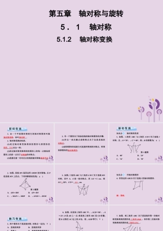 七年级数学下册 第5章(轴对称与旋转)5.1 轴对称 5.1.2 轴对称变换习题课件 (新版)湘教版 课件