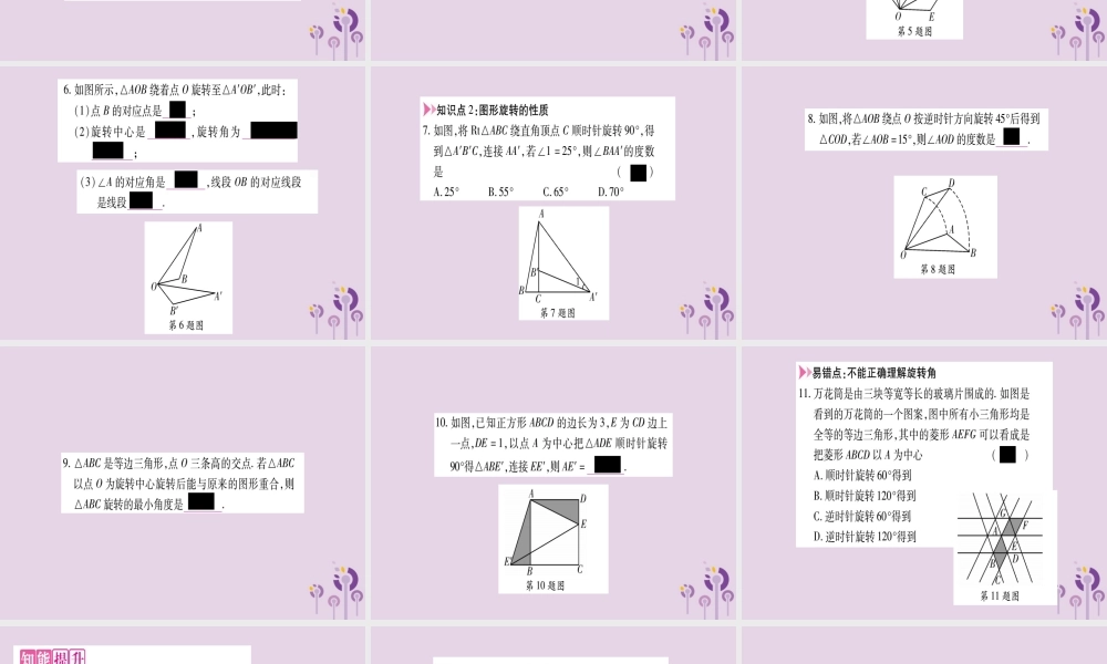 九年级数学上册 第二十三章 旋转 231 图形的旋转 第1课时 旋转的概念及性质作业课件 (新版)新人教版 课件