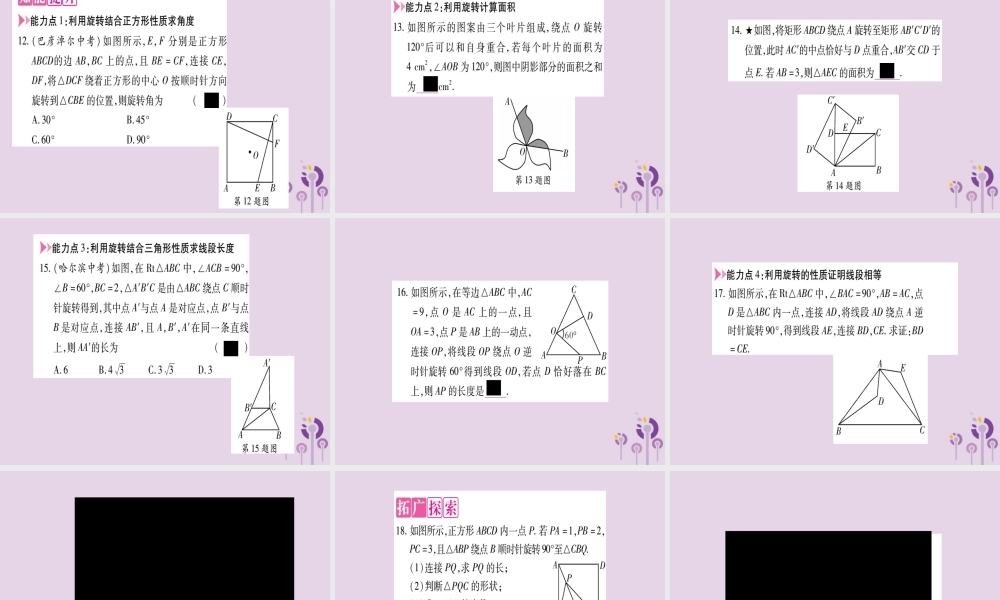 九年级数学上册 第二十三章 旋转 231 图形的旋转 第1课时 旋转的概念及性质作业课件 (新版)新人教版 课件