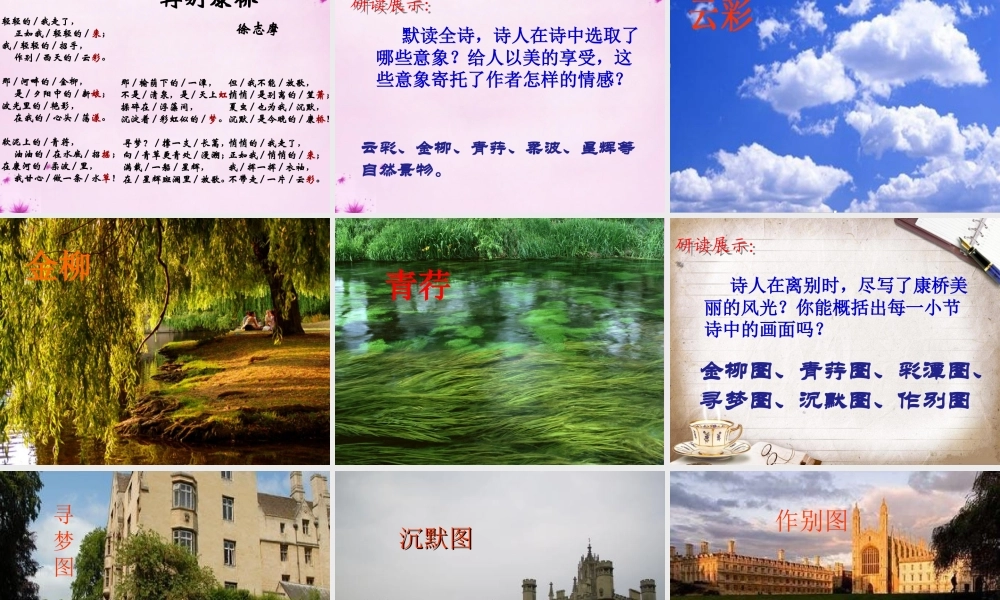 吉林省长春市八年级语文上册 第3课 再别康桥课件1 长春版 课件