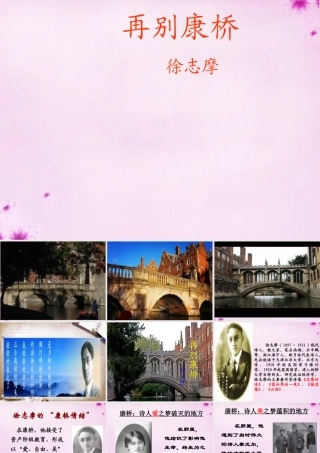 吉林省长春市八年级语文上册 第3课 再别康桥课件1 长春版 课件