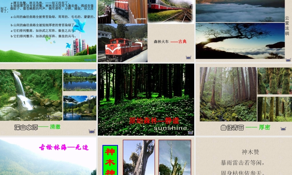 八年级语文上册 (阿里山记行)教学课件 苏教版 课件