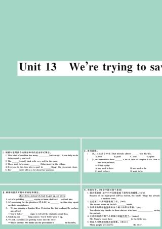 九年级英语全册 Unit 13 We re trying to save the earth(第1课时)作业课件 (新版)人教新目标版 课件