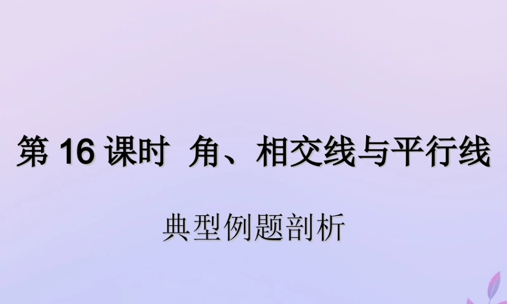 中考数学复习 第16课时 角、相交线与平行线 3 典型例题剖析(课后作业)课件