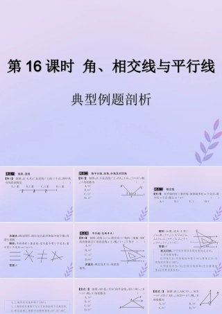 中考数学复习 第16课时 角、相交线与平行线 3 典型例题剖析(课后作业)课件