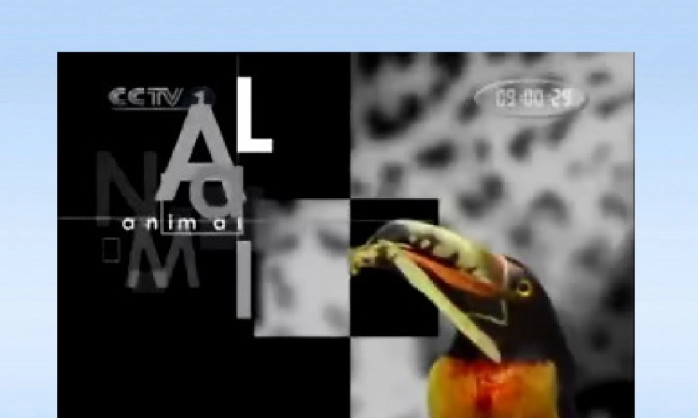 七年级生物上册 第二章生物圈中的动物第二节动物的行为课件3 济南版 课件