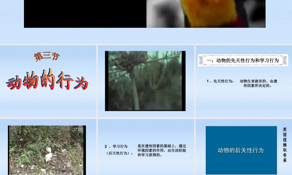 七年级生物上册 第二章生物圈中的动物第二节动物的行为课件3 济南版 课件