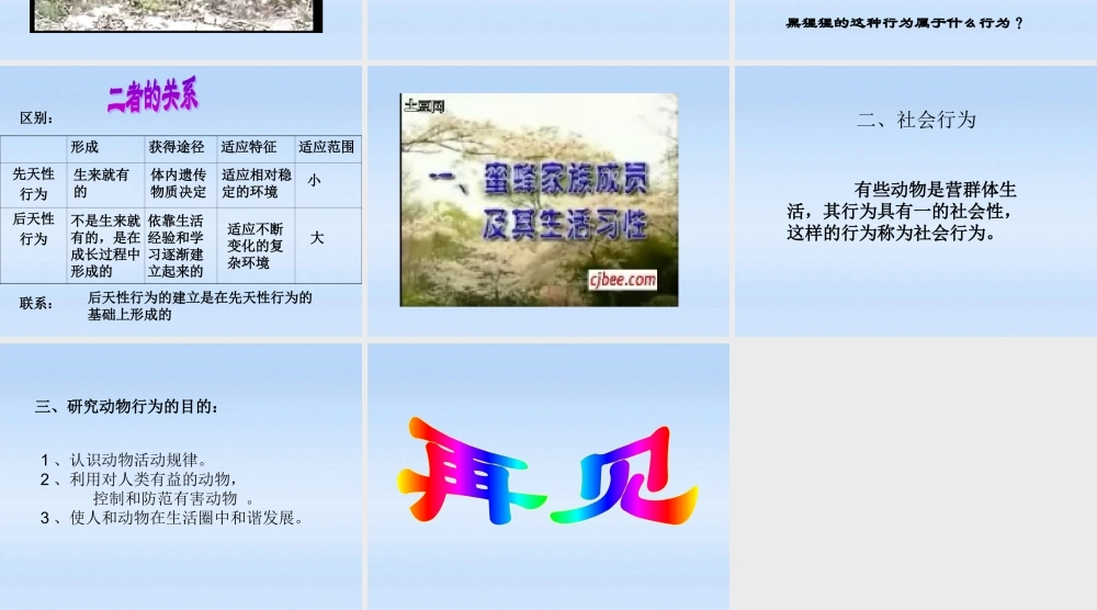 七年级生物上册 第二章生物圈中的动物第二节动物的行为课件3 济南版 课件