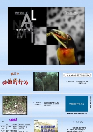 七年级生物上册 第二章生物圈中的动物第二节动物的行为课件3 济南版 课件