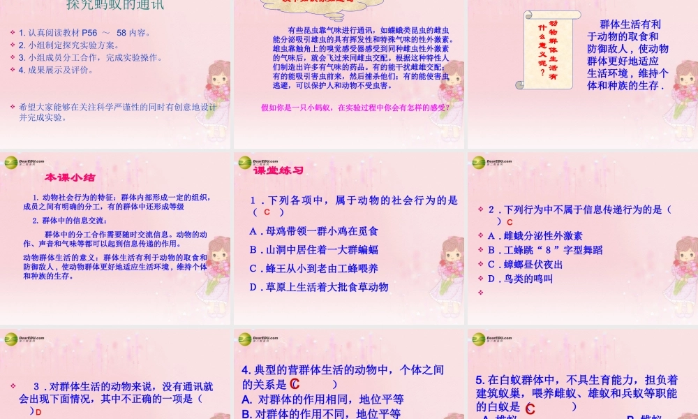 八年级生物上册 第五单元 第二章 第三节 社会行为课件 新人教版 课件