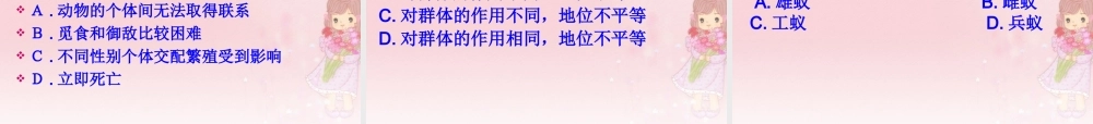 八年级生物上册 第五单元 第二章 第三节 社会行为课件 新人教版 课件