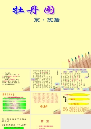 七年级语文上册 (牡丹图)课件 浙教版 课件