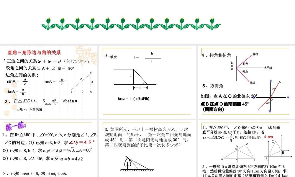 九年级数学第一章 解直角三角形复习1 ppt 课件