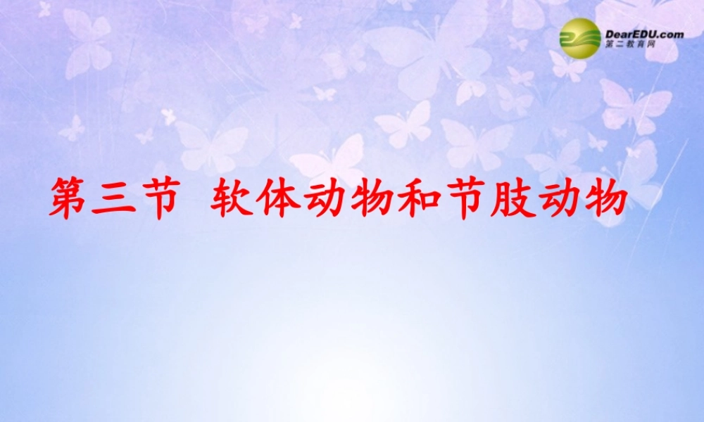 八年级生物上册 第五单元 1.3 节肢动物课件1 (新版)新人教版 课件