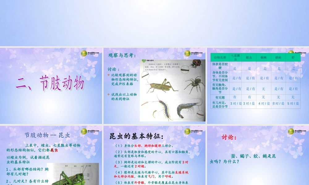 八年级生物上册 第五单元 1.3 节肢动物课件1 (新版)新人教版 课件