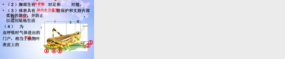 八年级生物上册 第五单元 1.3 节肢动物课件1 (新版)新人教版 课件