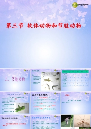 八年级生物上册 第五单元 1.3 节肢动物课件1 (新版)新人教版 课件