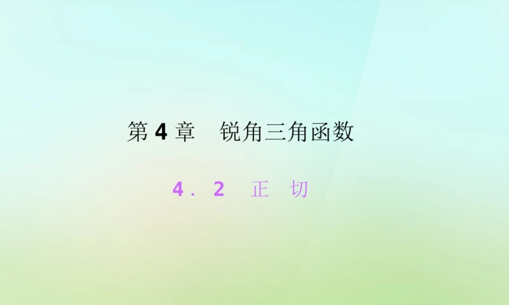 九年级数学上册 42 正切习题课件 (新版)湘教版 课件