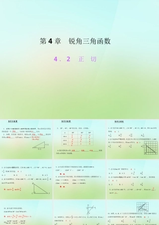九年级数学上册 42 正切习题课件 (新版)湘教版 课件