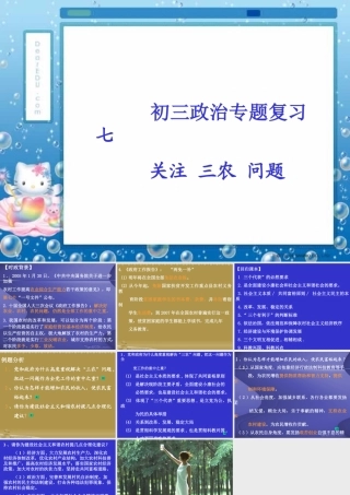 新课标初三政治专题复习七 关注 三农 问题 课件