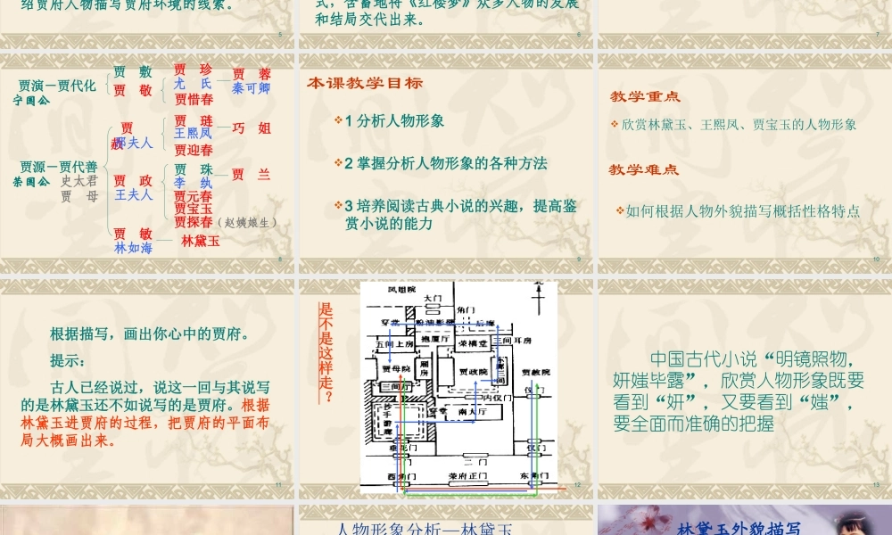 人教版高二语文林黛玉进贾府 课件