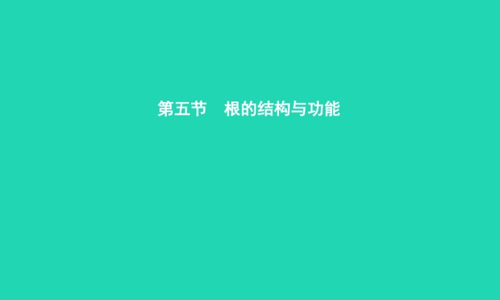 八年级生物上册 第四单元 第一章 第五节 根的结构与功能(第1课时 根的生长)课件 (新版)济南版 课件